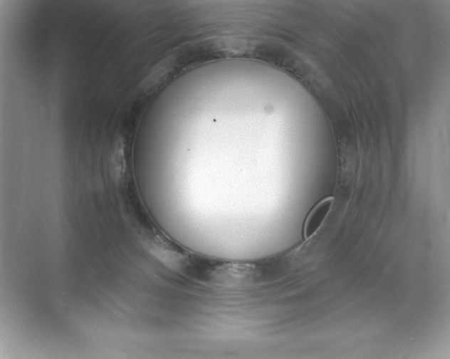 X0000071950128200607212236