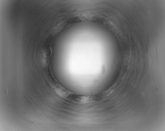 X0000071950130200607212236