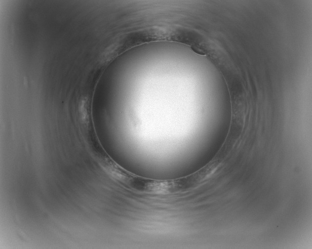 X0000071950131200607212236