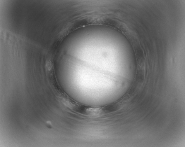 X0000071950133200607212236