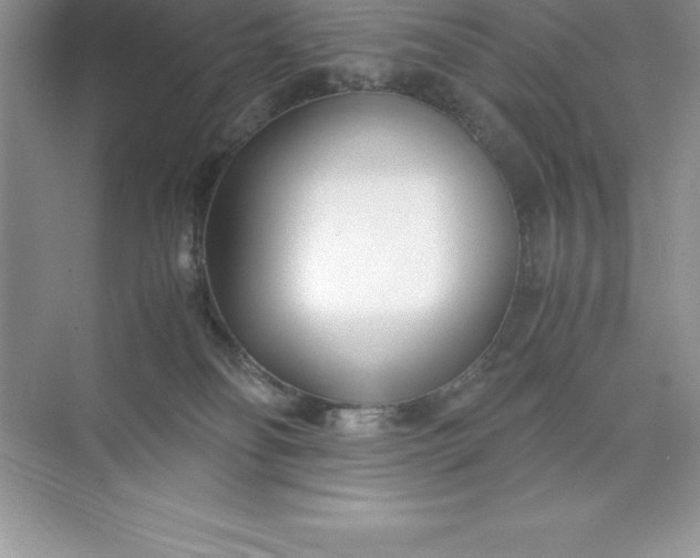 X0000071950134200607212236