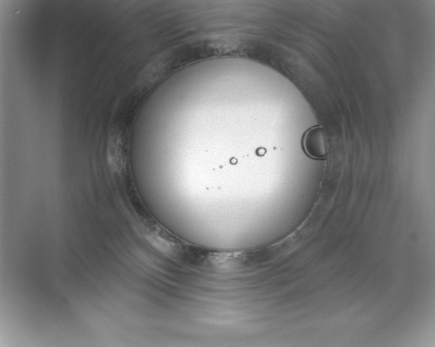 X0000071950136200607212236