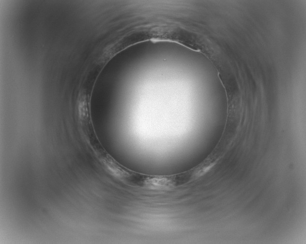 X0000071950137200607212236