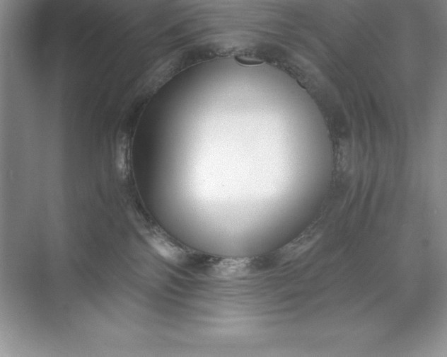 X0000071950138200607212236