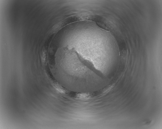 X0000071950139200607212236