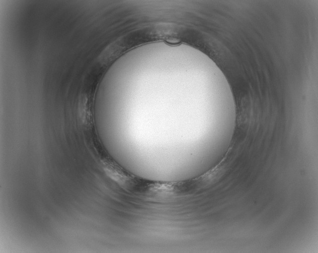 X0000071950140200607212236