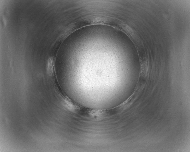 X0000071950142200607212236