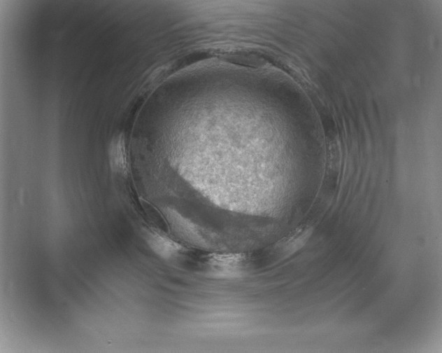 X0000071950143200607212236