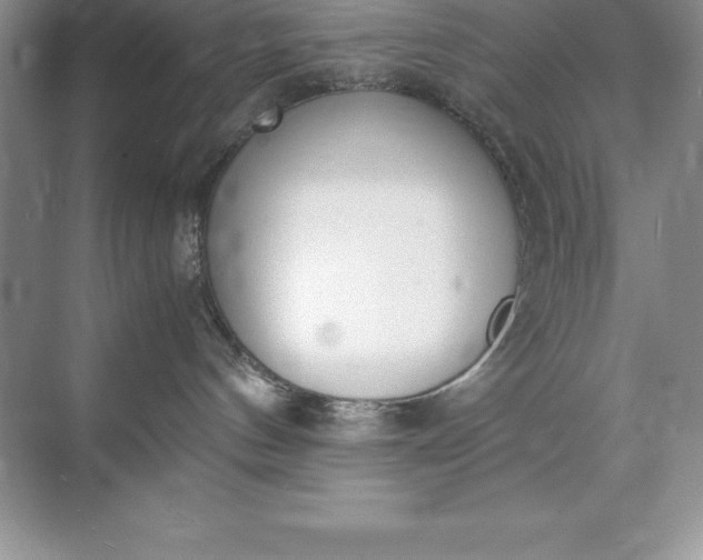 X0000071950144200607212236