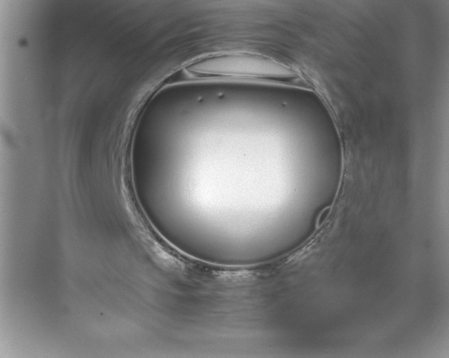 X0000071950145200607212235