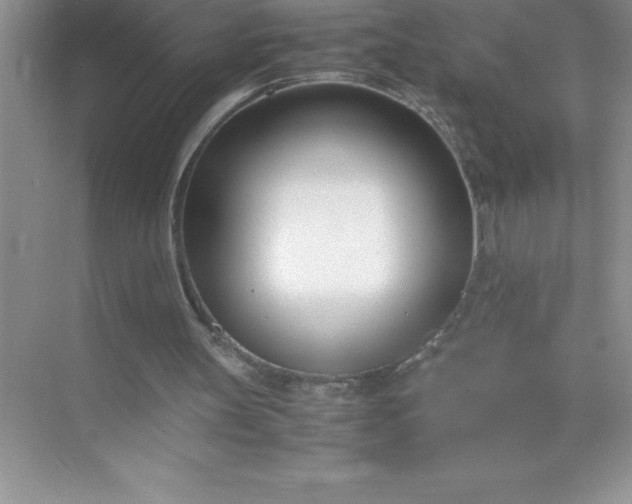 X0000071950147200607212235