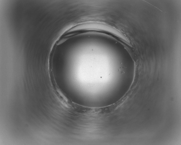 X0000071950148200607212235