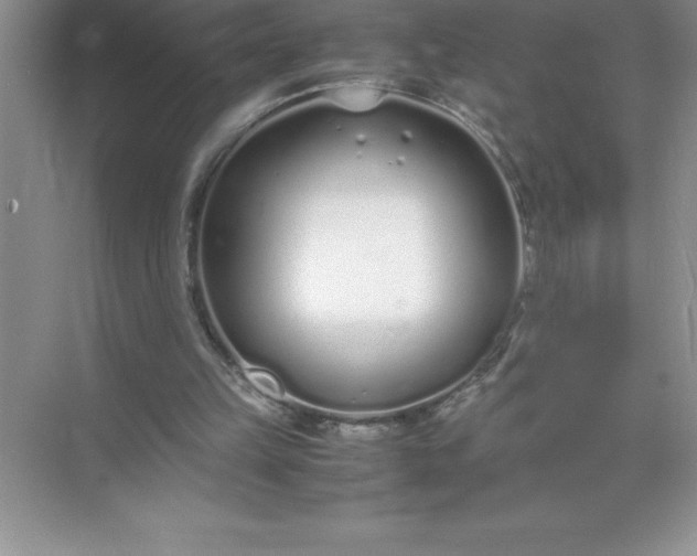 X0000071950149200607212235