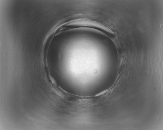 X0000071950150200607212235