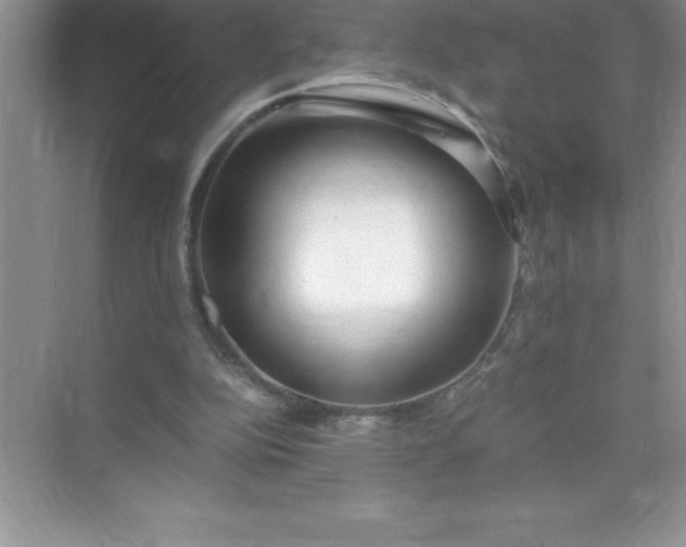 X0000071950152200607212235