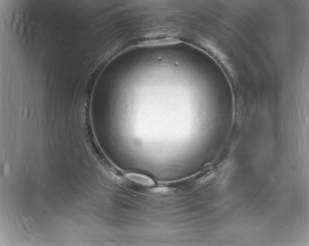 X0000071950153200607212235