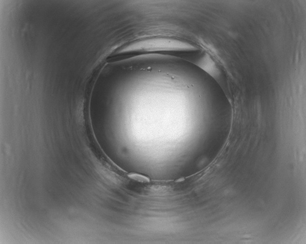 X0000071950154200607212235