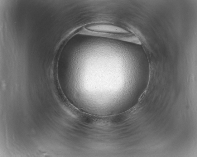 X0000071950155200607212235