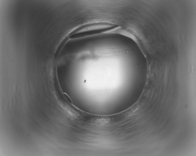 X0000071950156200607212235