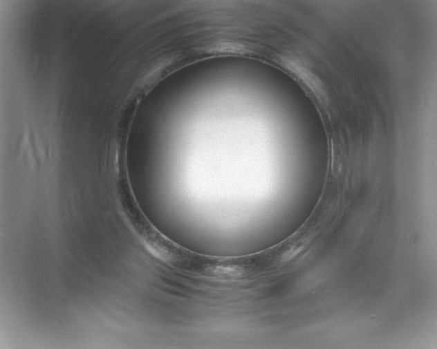 X0000071950157200607212235