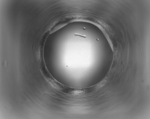 X0000071950158200607212235