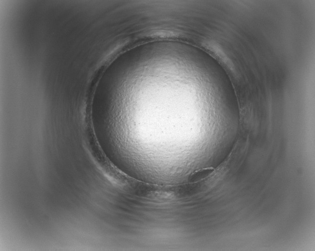 X0000071950159200607212235