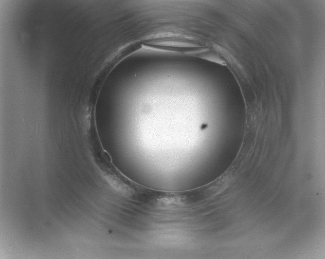 X0000071950160200607212235