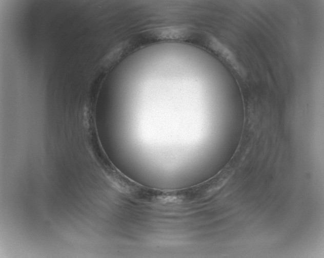 X0000071950161200607212235