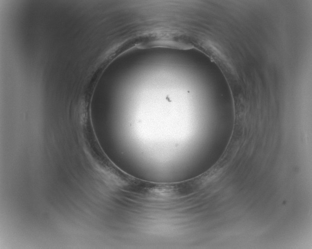 X0000071950164200607212236