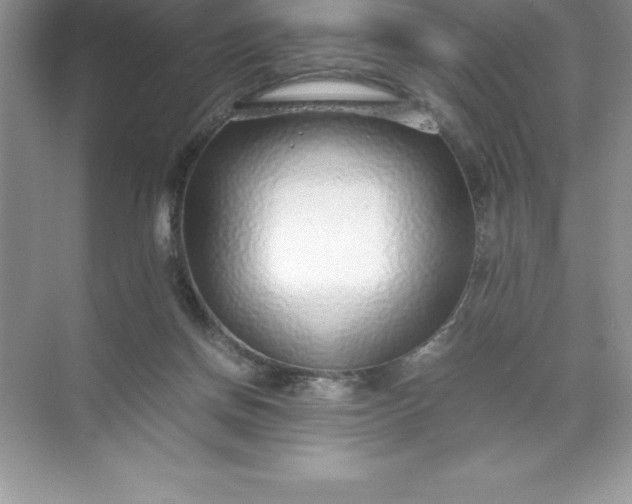 X0000071950166200607212236