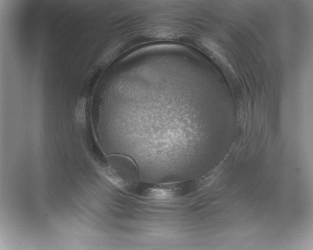 X0000071950167200607212236