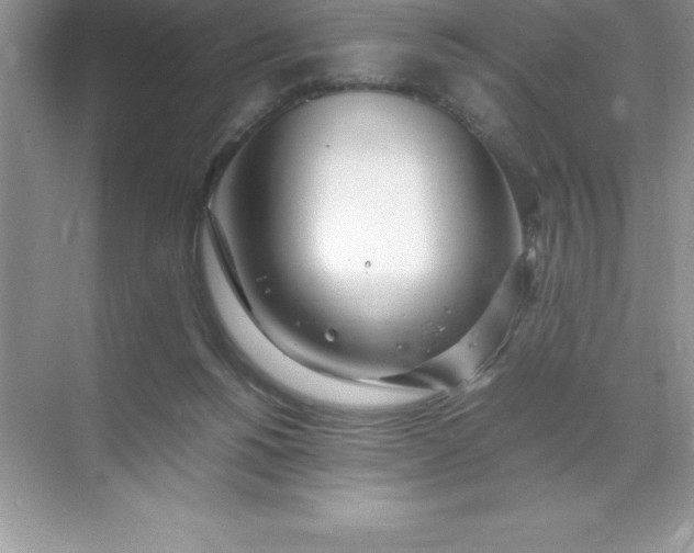 X0000071950168200607212236