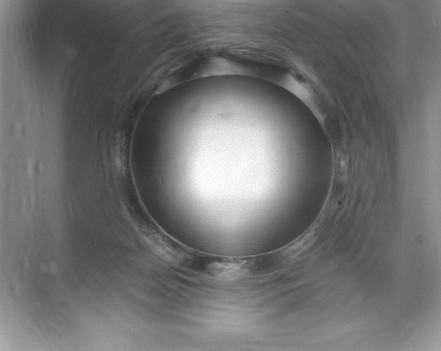 X0000071950170200607212236