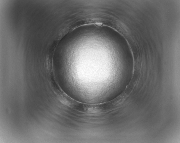 X0000071950173200607212236