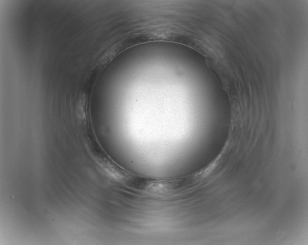 X0000071950174200607212236