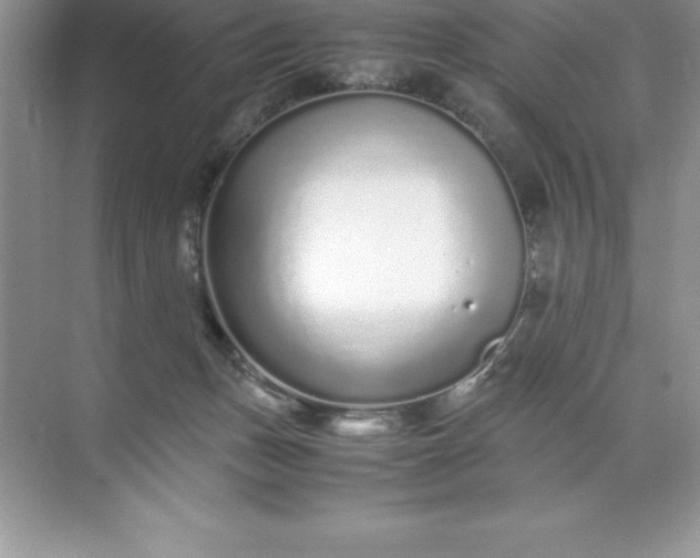 X0000071950175200607212236