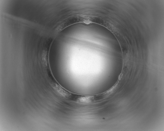 X0000071950178200607212236