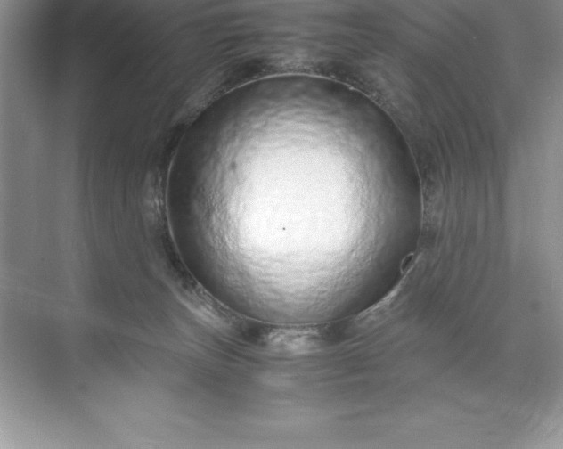 X0000071950179200607212236