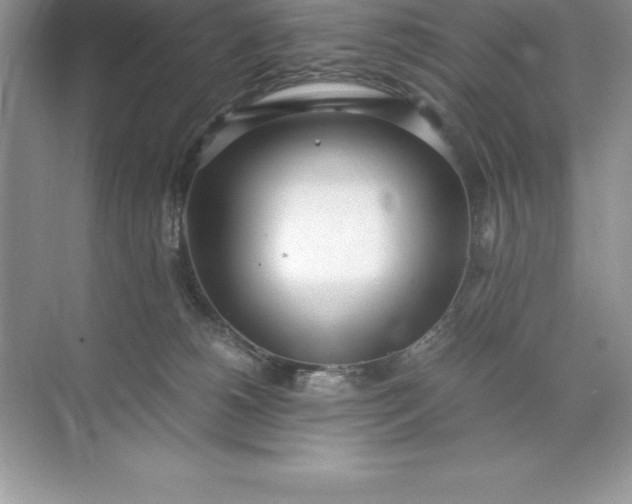 X0000071950180200607212236