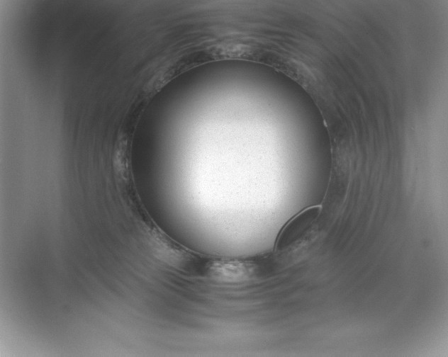 X0000071950181200607212236