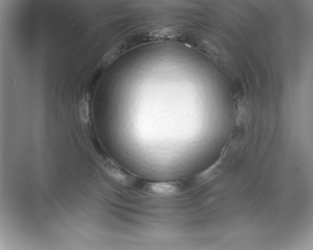 X0000071950183200607212236