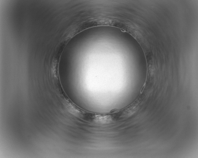 X0000071950185200607212236