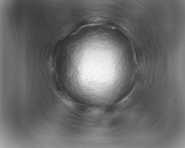 X0000071950187200607212236