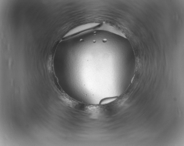 X0000071950189200607212236