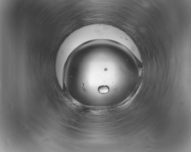 X0000071950190200607212236