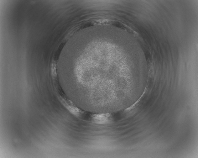 X0000071950191200607212236