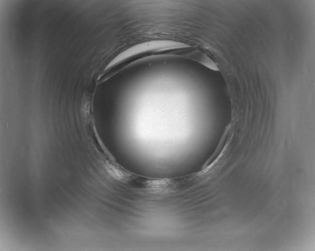 X0000071950192200607212236