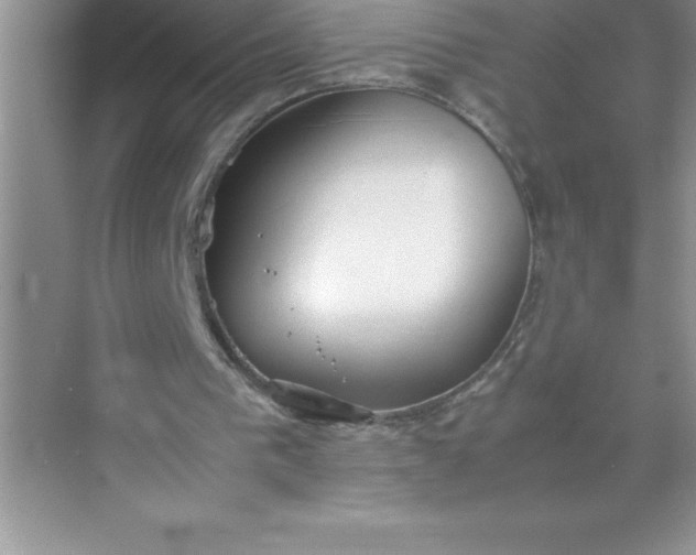 X0000071950193200607212235