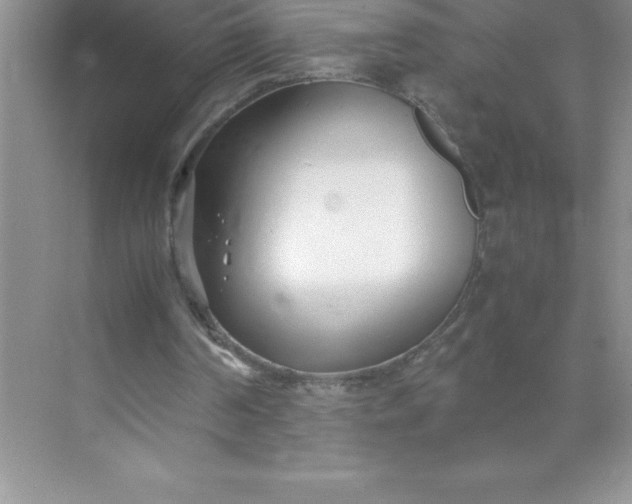 X0000071950194200607212235