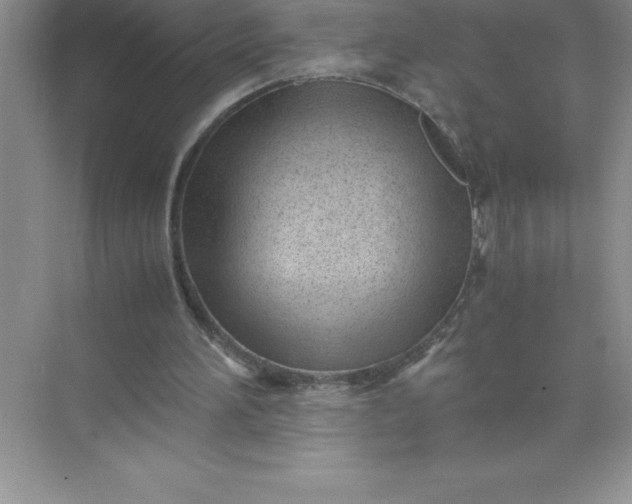 X0000071950196200607212235